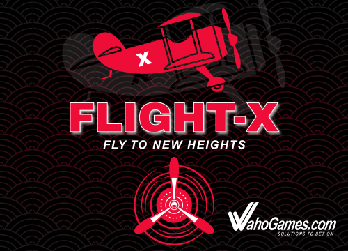 FLIGHT X